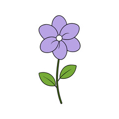 lilac vector illustration.