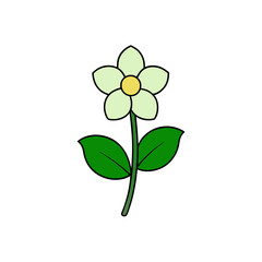 nicotiana vector illustration.