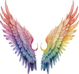 Fototapeta premium An image of a rainbow colored wing on a white background