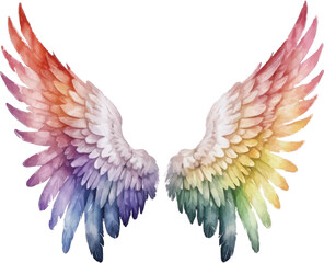 Fototapeta premium An image of a rainbow colored wing on a white background