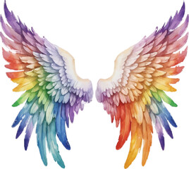Obraz premium An image of a rainbow colored wing on a white background