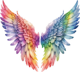Obraz premium An image of a rainbow colored wing on a white background