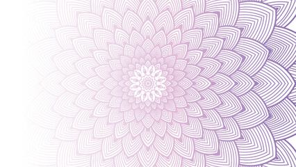 Round mandala on dreamy peach fuzz gradient background. Translucent mesh pattern in the form of a mandala. Mandala with floral patterns. New Year 2025