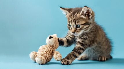 Kitten batting at a soft stuffed animal on blue background