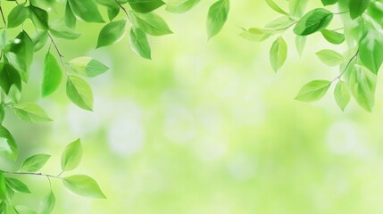 Lush green leaves against a soft bokeh background.