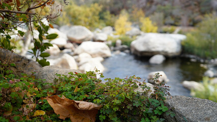 Scenic Nature Views at Case Mountain, Three Rivers, CA