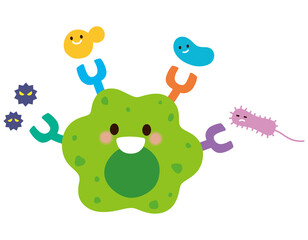 マクロファージの働き　免疫細胞　健康