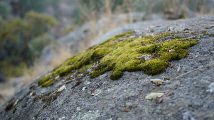 Scenic Nature Views at Case Mountain, Three Rivers, CA