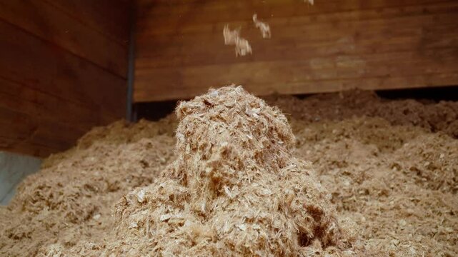 Peat pile in factory setting during processing, showcasing texture and size as it drips down from ceiling with light on top in wooden storage container, slow motion