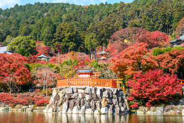 前方に赤や黄、紫など全山の紅葉が浮かび上がり、背景の深い緑の山と合わせ一幅の絵画のような景観が広がる