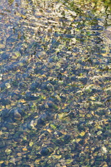 Water Transparency-3
