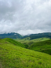 Fototapeta premium The beautiful mountiane grass at Phu Hua Lon, Xaysomboun Province, Lao PDR. tourism of laos.