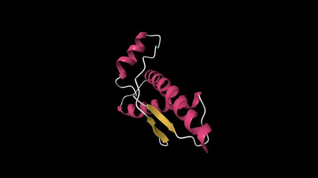 Structure of human prion. Animated 3D cartoon model isolated, PDB 1qlx, secondary structure color scheme, black background