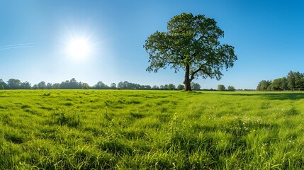 Collection of Vibrant Green Grass, Dew, Wildflowers, and Nature Scenes in Various Settings