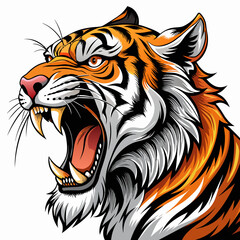 Vector illustrations of a tiger 