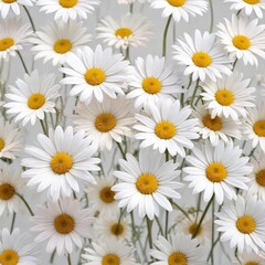Fototapeta premium collection of daisy flowers in pastel shades on white background, spring flowers, daisy, floral arrangement