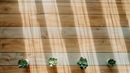 Sunlight Casts Soft Shadows Over a Simple Arrangement of Potted Succulents on a Warm Wooden Surface Creating a Calm and Inviting Atmosphere