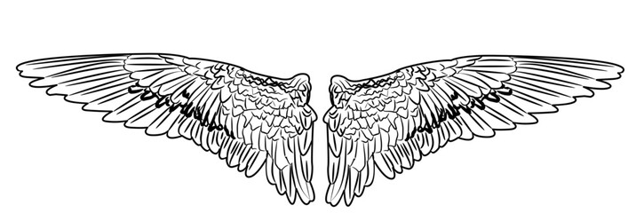 Angel Wings coloring with white color