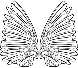 Angel Wings coloring with white color