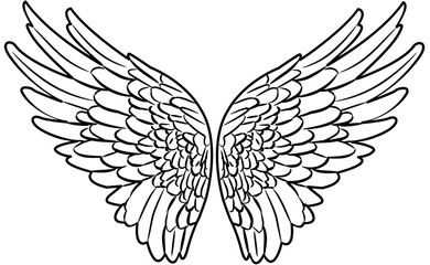 Angel Wings coloring with white color