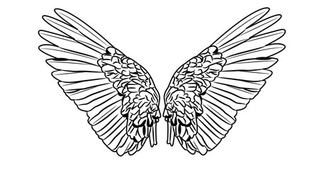 Obraz premium Angel Wings coloring with white color