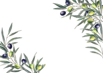 Olive branch with leaves and ripe berries. Watercolor hand-painted illustration. Banner, template, horizontal frame made of olives. Botanical Mediterranean clipart for a postcard on a white background
