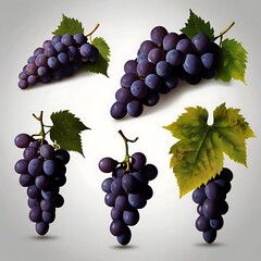 Fototapeta premium set of grapes