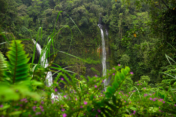 a waterfall that comes out of a rock cliff in the middle of the forest