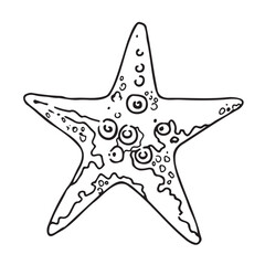 Starfish vector illustration. A hand-drawn sketch. An illustration of the underwater life of marine life, made in black ink in the style of line art.