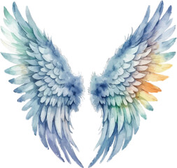 Fototapeta premium Watercolor Best angel wings isolated on white background