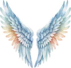 Fototapeta premium Watercolor Best angel wings isolated on white background