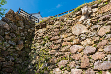 天下の出世城として有名な浜松城