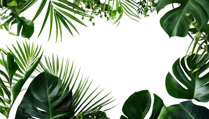 Lush green leaves frame dark background, creating vibrant look