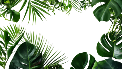 Lush green leaves frame dark background, creating vibrant look