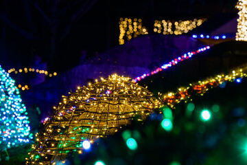 夜のイルミネーションガーデン | 美しいライトアップの風景 | 冬の光の祭典
