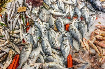 Fish stalls at the street market in the medina of Sousse, Tunisia.