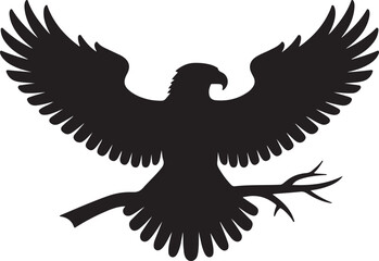 Fototapeta premium Eagle silhouette