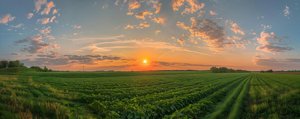 Sunset Over Green Field Landscape Photo