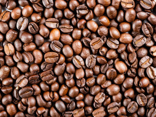 Obraz premium Top View of Coffee Beans Isolated on White Background