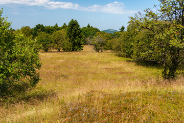 Fototapeta premium Der Kreuzberg - der Heilige Berg der Franken - Biosphärenreservat Rhön, Unterfranken, Franken, Bayern, Deutschland