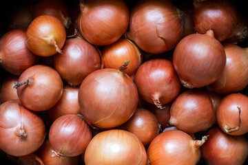 Fresh natural organic onions. Many different whole bulbs.