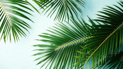 Tropical Palm Fronds on a Light Blue Background