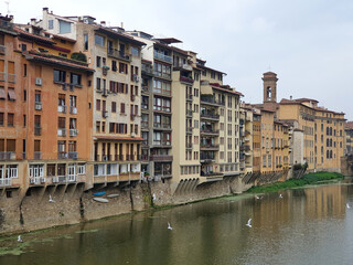 Obraz premium Vibrant historic buildings along the Arno River with seagulls in flight, showcasing the charm of Florence's unique riverside architecture