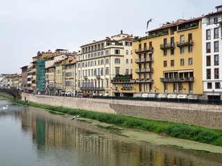 Fototapeta premium Vibrant historic buildings along the Arno River with seagulls in flight, showcasing the charm of Florence's unique riverside architecture