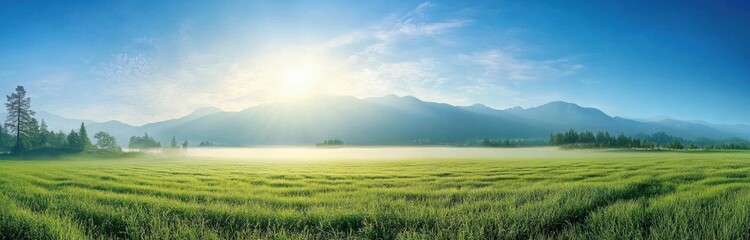Fototapeta premium Sunny morning light illuminating the misty scenery. 