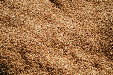 秋の大地を感じるもみ殻