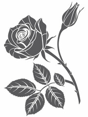 Set of Roses – Elegant Floral Design for Digital Prints, Modern Wall Art, and Timeless Home Decor