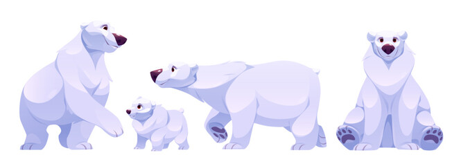 Cute polar bear cartoon. Arctic white north animal sitting and standing isolated graphic. Happy predator family with mother, kid and father drawing kit. Canada big wildlife character icon design
