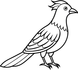 illustration of a bird