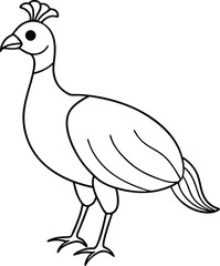 illustration of a bird